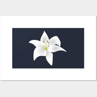 White Lily Flower Posters and Art